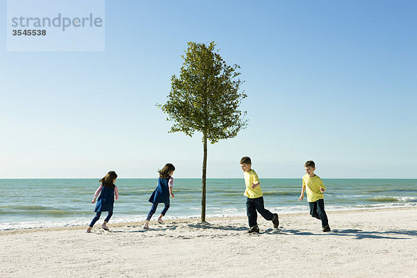 Kinder  die am Strand um den Baum herum jagen.