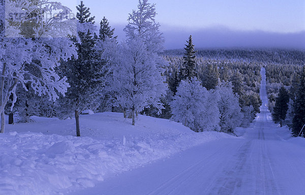 Skandinavien  Schweden  Dalarna  Ansicht von Schnee bedeckt Landstraße vorbei Wald