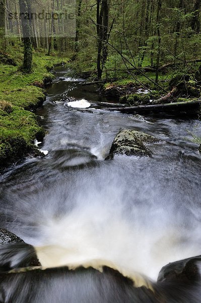 Skandinavien  Schweden  Vastergotland  Blick auf Wasserfall im Nationalpark  elevated view