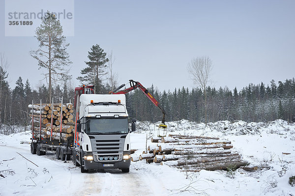 Holz Lastkraftwagen Ansicht Skandinavien Schweden Uppland