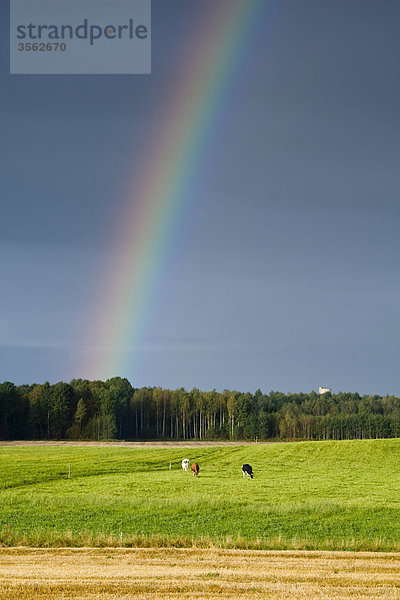 Regenbogen über ein Feld  Schweden
