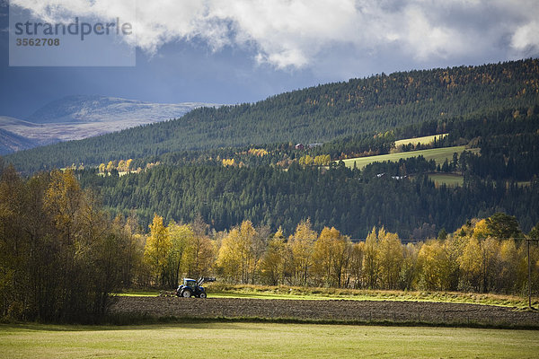 Traktor arbeiten in einem Feld im Herbst  Norwegen