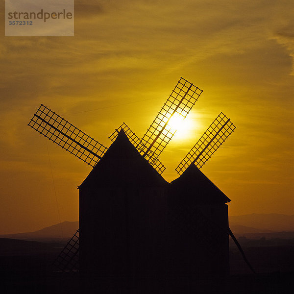 Windmühlen  Campo de Criptana  Ciudad Real  Kastilien-La Mancha  Spanien  Europa