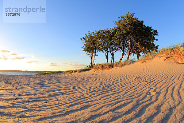 Strand bei Flensburg  Schleswig-Holstein  Deutschland  Europa