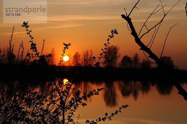 Altmühlsee bei Sonnenuntergang  Deutschland