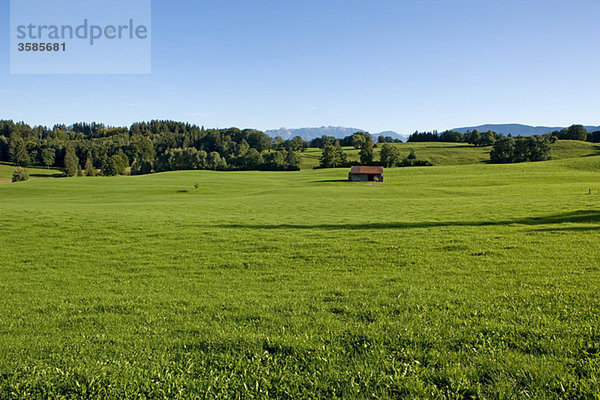 Wiesen in Bayern