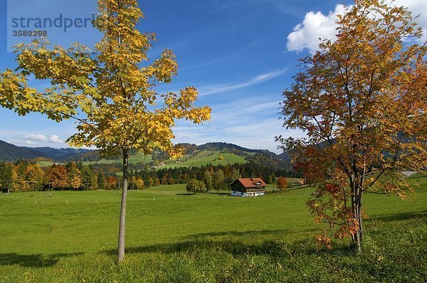 Bauernhof bei Oberstaufen  Bayern  Deutschland  Europa