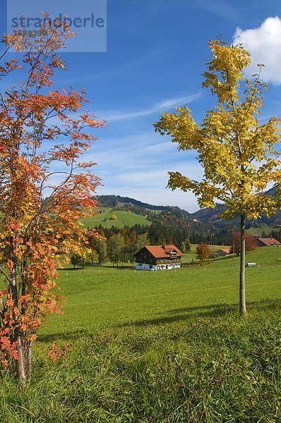 Bauernhof bei Oberstaufen  Bayern  Deutschland  Europa
