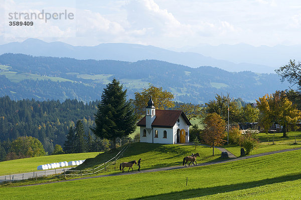 Ökumenische St.-Hubertus-Kapelle  Forst  Bayern  Deutschland  Europa