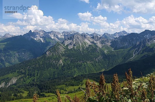 Blick vom Fellhorn auf die Allgäuer Hochalpen  Bayern  Deutschland  Europa