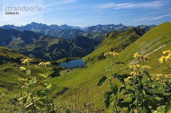 Seealpsee  Laufbacher-Eck-Weg  Nebelhorn  Allgäuer Alpen  Bayern  Deutschland  Europa