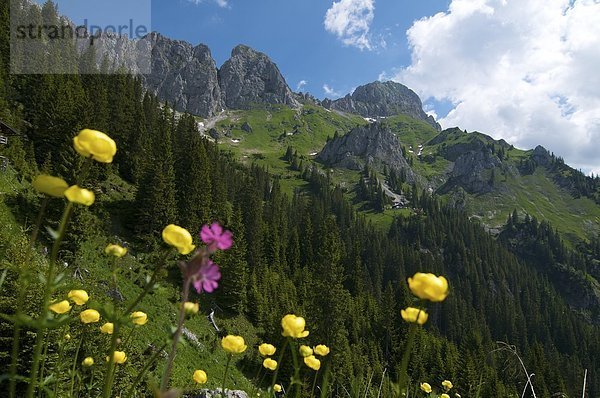 Köllenspitze und Tannheimer Hütte  Tannheimer Berge  Tirol  Österreich  Europa