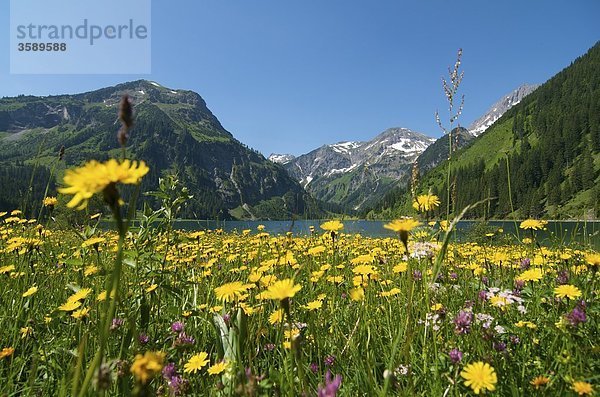 Vilsalpsee im Naturschutzgebiet Vilsalpsee  Tirol  Österreich  Europa