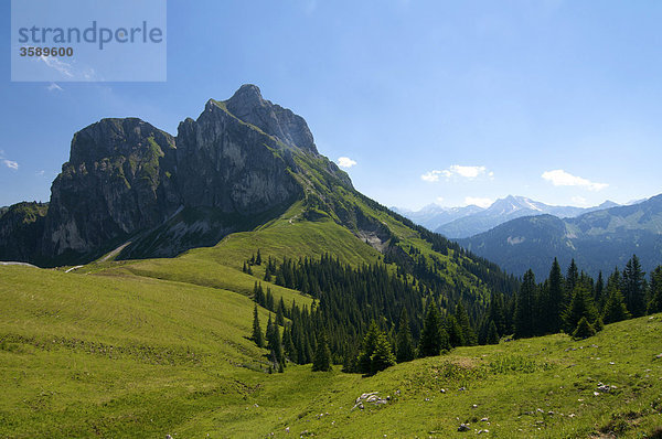 Aggenstein  Allgäuer Alpen  Tirol  Österreich  Europa