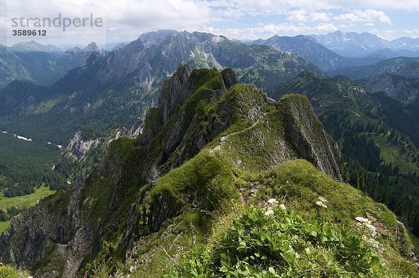 Branderschrofen  Ammergauer Alpen  Bayern  Deutschland  Europa