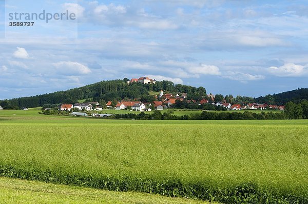 Schloss Kronburg  Schwaben  Bayern  Deutschland  Europa