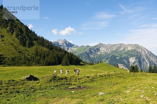 Willersalpe  Allgäuer Alpen  Bayern  Deutschland  Europa