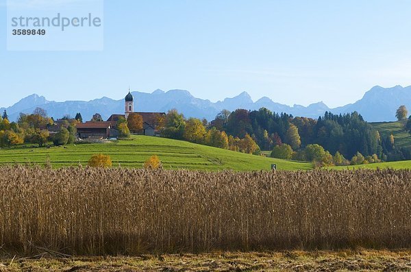 Seeg  Allgäu  Bayern  Deutschland  Europa