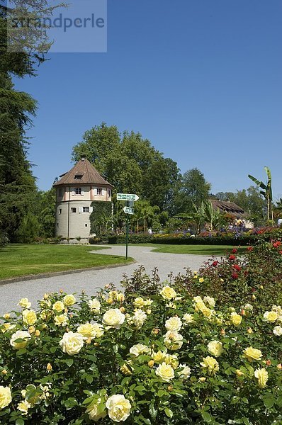 Blumeninsel Mainau  Baden-Württemberg  Deutschland  Europa