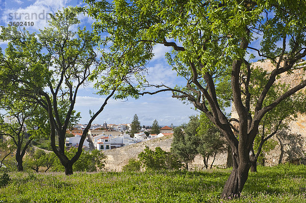 Blick auf Lagos mit Stadtmauer  Algarve  Portugal