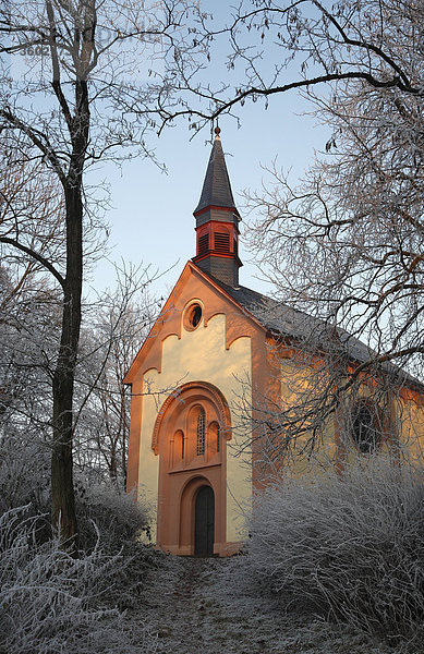 Kapelle im Abendlicht von vereisten Bäumen umgeben  Trier  Deutschland