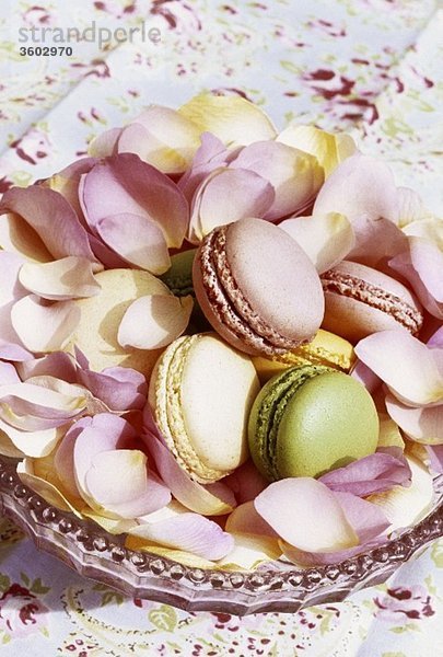 Bunte Macarons in einer Schale mit Rosenblütenblättern