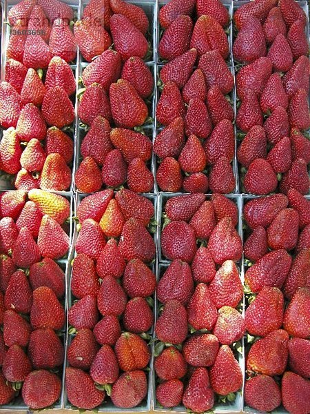 Viele Erdbeeren in Behältern auf einem Markt