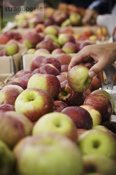 Hand nimmt Apfel aus Steige auf dem Markt