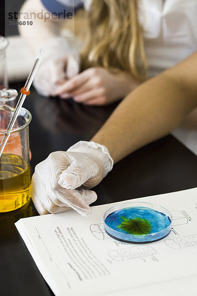 Student führt wissenschaftliches Experiment mit Petrischale durch