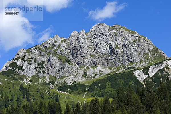 Gartnerkofel  Carnic Alps  Austria