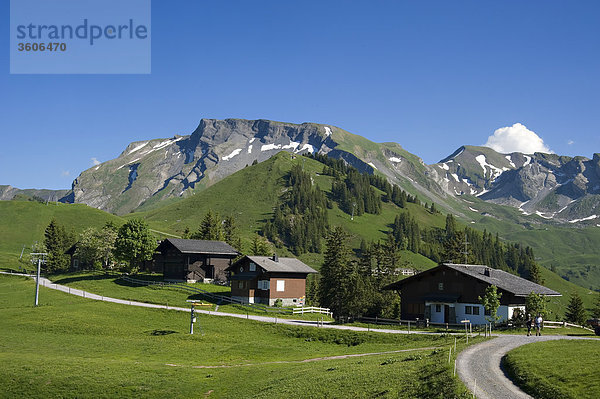 Klewenalp  Alps  Switzerland