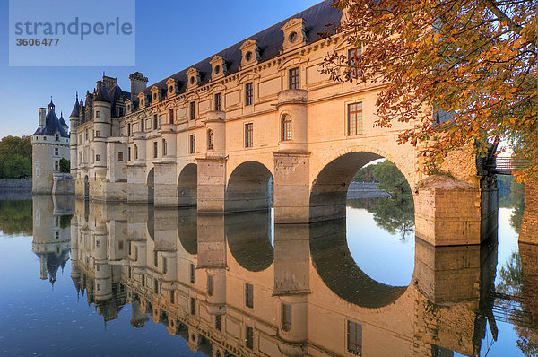 Chateau Chenonceau  Loire Valley  France