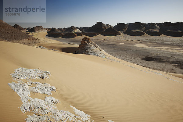 Libysche Wüste  Nähe Oase Dachla  Ägypten  Afrika