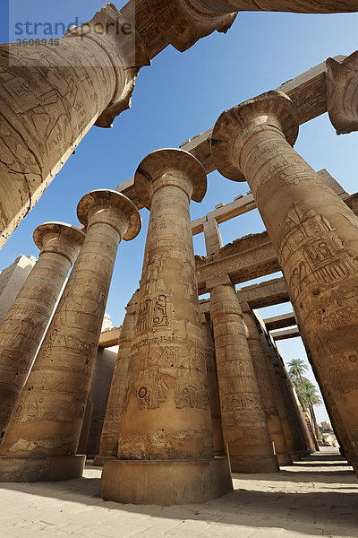 Säulen  Tempel von Karnak  Karnak  Ägypten  Afrika