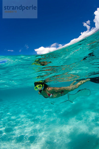 Schnorchler im flachen Wasser.