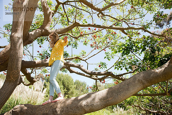 Junge Frau im Baum