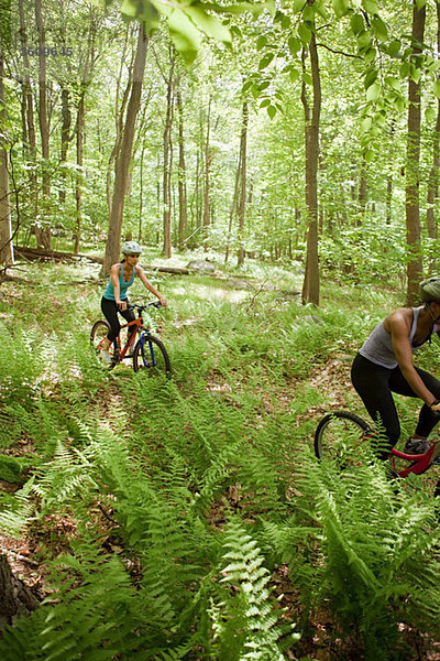 Zwei Radlerinnen im Wald