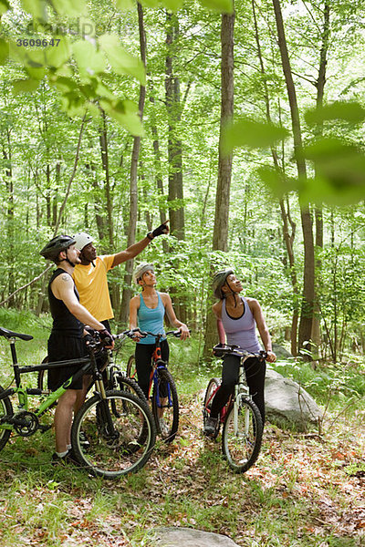 Vier Radfahrer im Wald