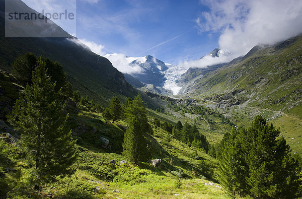 Berg Wolke Baum Gletscher Schweiz Weg Kanton Wallis