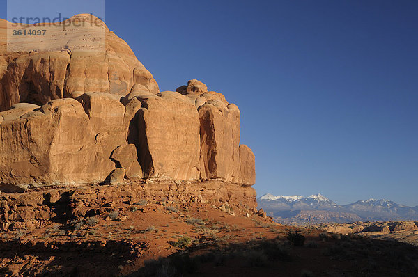 Red Rocks und Blick auf La Sal Mountains  Arches Nationalpark  in der Nähe von Moab  Utah  USA