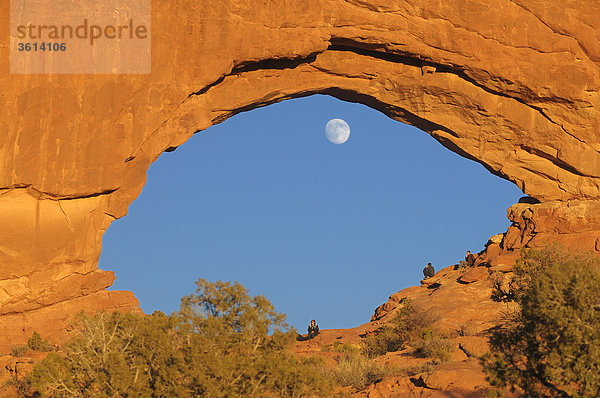 Arch  Abschnitt Windows  Arches Nationalpark  in der Nähe von Moab  Utah  USA