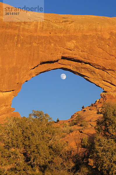 Arch  Abschnitt Windows  Arches Nationalpark  in der Nähe von Moab  Utah  USA