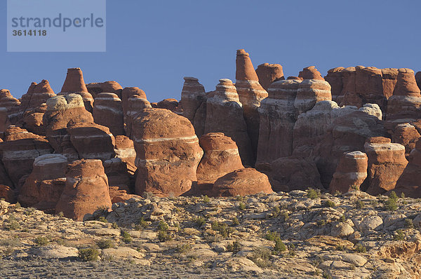 Red Rocks  Arches Nationalpark  in der Nähe von Moab  Utah  USA