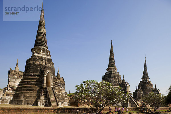 Ayutthaya  Thailand Ayutthaya Historical Park  Wat Phra Si Sanphet