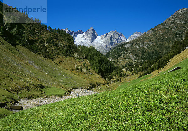 Landschaftlich schön landschaftlich reizvoll Berg Reise Feld Alpen Wiese Kanton Uri Schweiz Tourismus