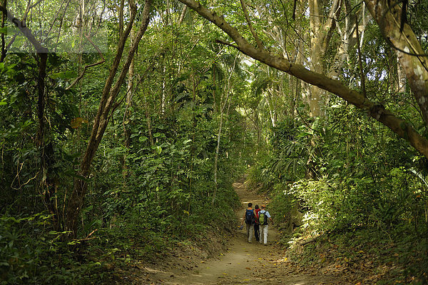 Wanderer auf Trail  Arrecifes  Wald  Park Tayrona  Parque Nacional Tayrona  Magdalena Kolumbien  Südamerika