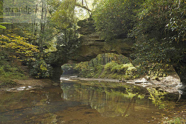 Rocky Arch  Creek unter Arch  Daniel Boone National Forest  den Red River Gorge geologischen Bereich  Kentucky  USA