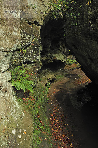 Wasserfall bei Old Man's Cave  Hocking Hills State Park  Ohio  Vereinigte Staaten