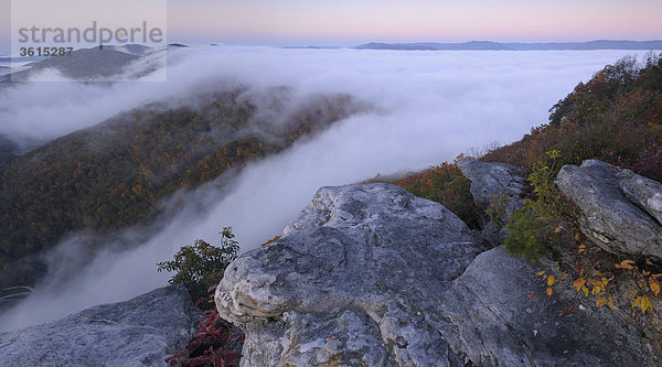 Sunrise bei Pinnacle Overlook  Nebel  Cumberland Gap National Historic Park  Cumberland Gap  Virginia  Tennessee  USA