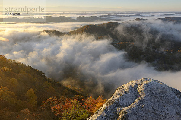 Sunrise bei Pinnacle Overlook  Nebel  Cumberland Gap National Historic Park  Cumberland Gap  Virginia  Tennessee  USA